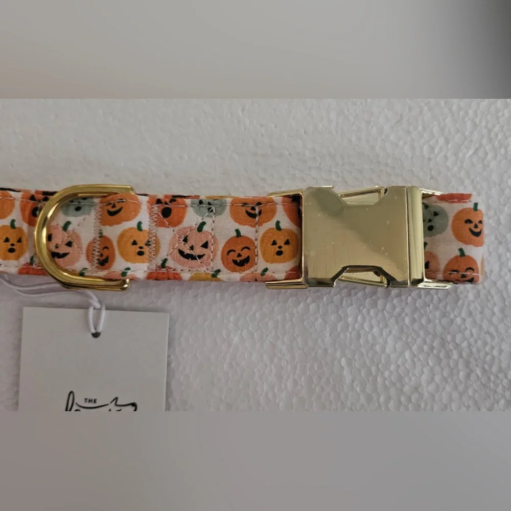The Foggy Dog Pumpkins Dog Collar (L)